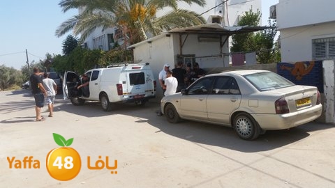 dahmashasudwq (12).jpg